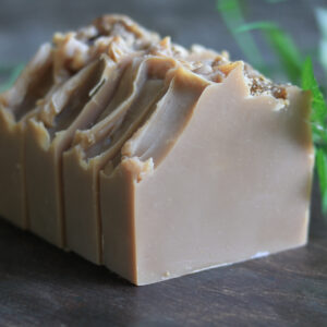 Spiced Apples & Oats Artisan Soap